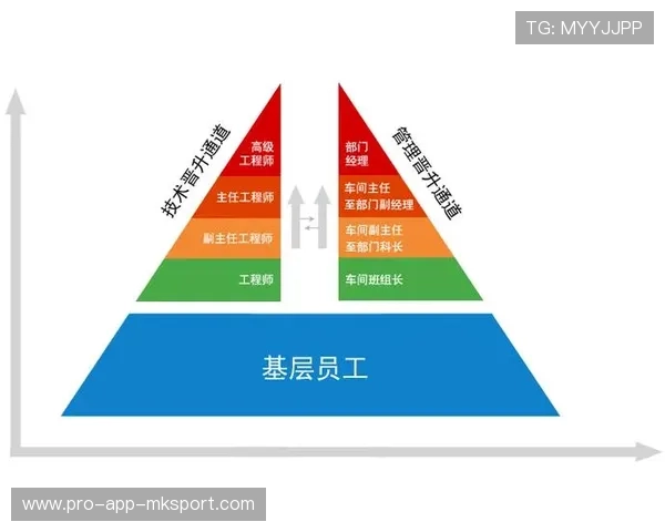 体育场馆运营管理岗位职责与晋升通道